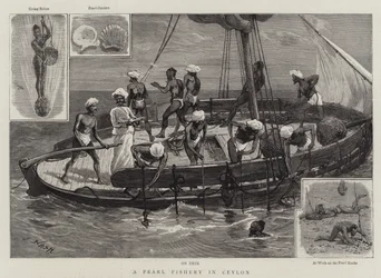 A Pearl Fishery in Ceylon